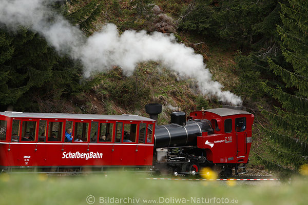 Schafbergbahn Zahnradbahn Dampfromantik Gipfel-Ausflugsfahrt in Wolkenhhe