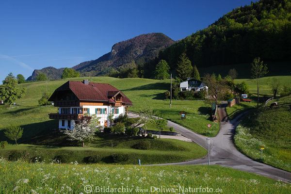 Bergland Häuser Wohnidylle in Grünwiesen Wege Kreuzung über Wolfgangsee