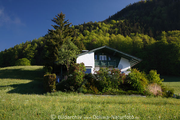 Wohnhaus Naturidylle am Bergwald Grünwiese Landschaft über Wolfgangsee