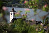 105447_ Apfelblüte Frühling Bild über Sankt Wolfgang Kirchenturm Dächer Wasserblick See