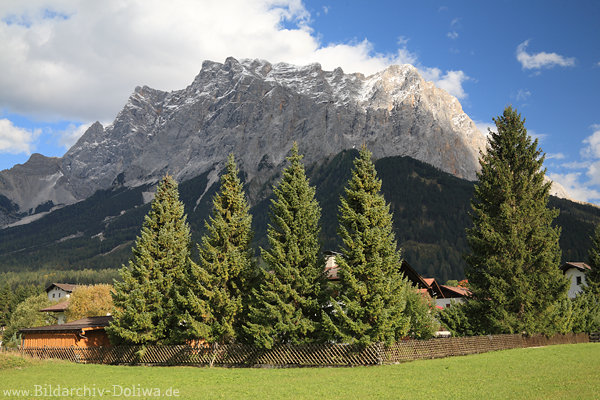Zugspitze Bergmassiv Wettersteingebirge Alpenfoto Grünwiese Tal Naturbild