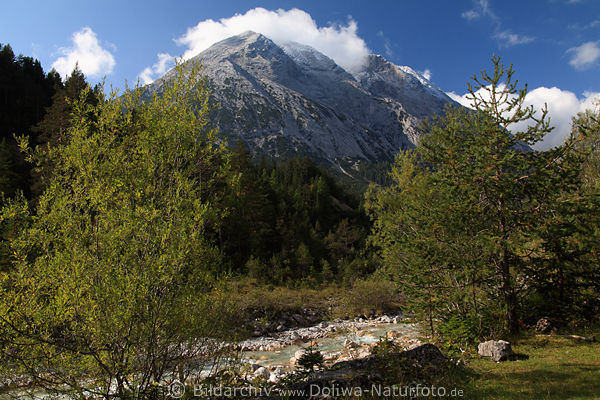 Gaistal Naturfoto Tirol Berge Alpenlandschaft