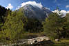 Gaistal Bergbach Naturfoto grünes Naturparadies unter Gipfel Hohe Munde Alpenlandschaft-Bild