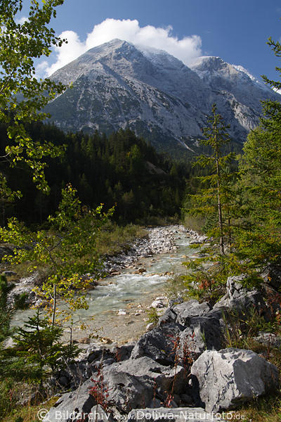 Gaistal Naturfoto am Wasserbach unter Berg Alpenlandschaft Tirol