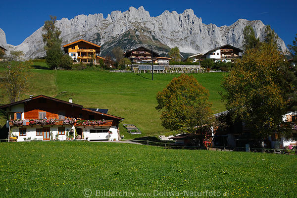 Going am Wilder Kaiser Bergpanorama Tirol Bauernhöfe Grünidylle Gasthäuser Naturbild