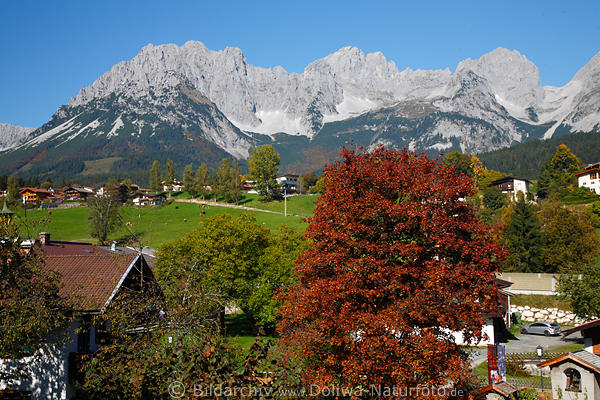 Going Bergdorf Herbstidylle vor Gebirgszug Wilder Kaiser Felspanorama über Ferienort Häuser