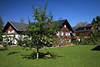Dorfcafe Haldensee Gartenidylle Foto 212961 Grnwiese Apfelbaum Frchte Bergblick