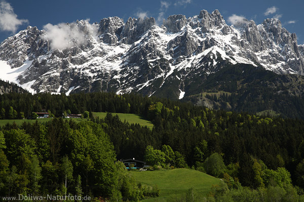 Kaisergebirge Felsmassiv Gipfel mit Schnee grünes Bergtal Alme Hütten