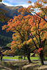 Herbst Farben an Loisach Wanderallee in Lermoos Reisefoto, Touristen in Berglandschaft spazieren