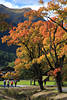 Loisach Herbstbäume Farbenpracht Foto über Lermoos Wanderer Urlaubsbild