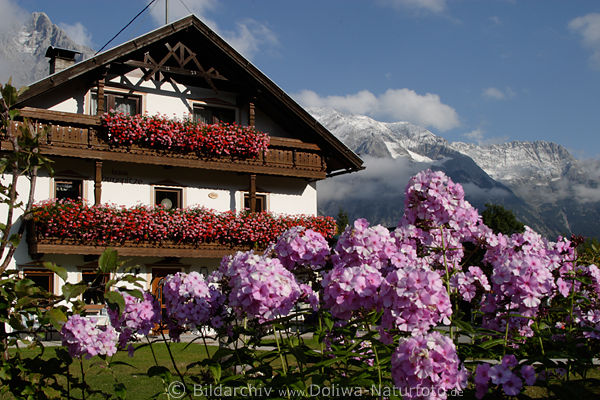 Pension Berghaus in Blumen mit Bergblick