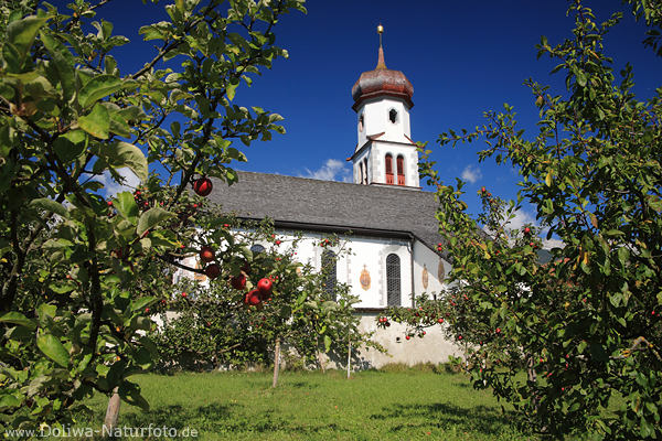 Apfelgarten um Kirche St. Georg in Obermieming