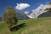 811180_ Wildermieming Plateau Berglandschaft Foto Wolke über Baum auf grüner Wiese vor Felsmassiv
