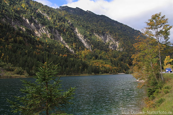 Plansee-Autoreise um Alpensee Wassertafel Uferweg Berge Naturfoto nah Reutte
