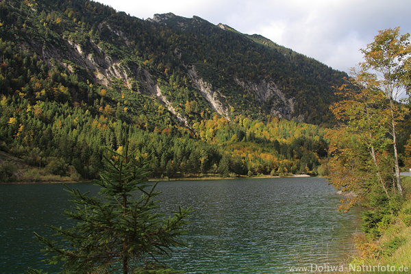 Plansee-Naturfoto Berge um Alpensee Wassertafel Naturbild grüne Oase bei Reutte