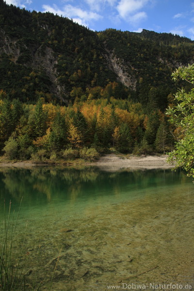 Plansee Grnwasser Naturfoto unter Berghang in Alpenlandschaft