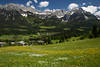 Scheffau Bergkulisse Wilder-Kaiser Alpen Frühlingslandschaft über Bärbichl gelbweiss Blumenwiese