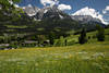 Scheffau Foto in Alpenlandschaft Wilder Kaiser Berge Frühling Wiesensblüte Panorama Naturbild