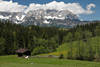 Bergalpe Weidekuh Frühling Naturfoto vor Gipfelpanorama Kaisergebirge Almwiese Bild