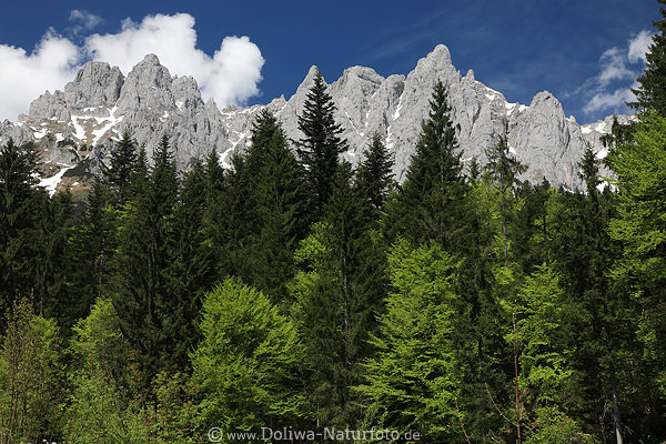 Felsgipfel über Frühlingswald Natur-Fotodesign