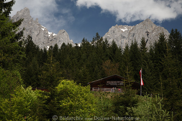 Graspointhütte in Bäumen Wilder Kaisergebirge Gipfel über Niederalm Jausenstation