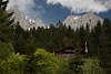 Graspointhütte Foto in Bäumen Wilder Kaisergebirge Gipfel über Niederalm Jausenstation