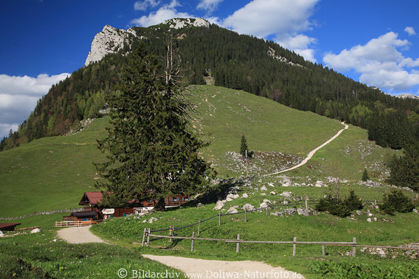 Ritzau Alm Fotos in Bergkulisse Zahmer-Kaiser Alpenlandschaft Wanderziel mit Alm-Gashof