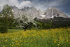 1300233_Frühlingsblüte am Wilder Kaiser Foto Alpenlandschaft Berge Panorama Apfelblüte Naturbild