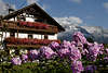 Österreich buntes Landhaus Foto in Blumen Bergblick Leutasch Urlaubreise Berge in Schnee