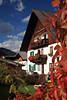 Landhaus Wilhelm in Ehrwald rote Herbstblätter Urlaubsstätte Tiroler Alpen