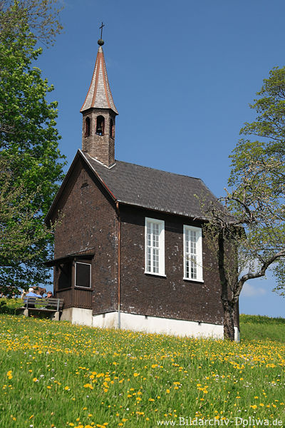 Kapelle Amenegg in Gelbwiese Frühjahrsblüte unter Blauhimmel