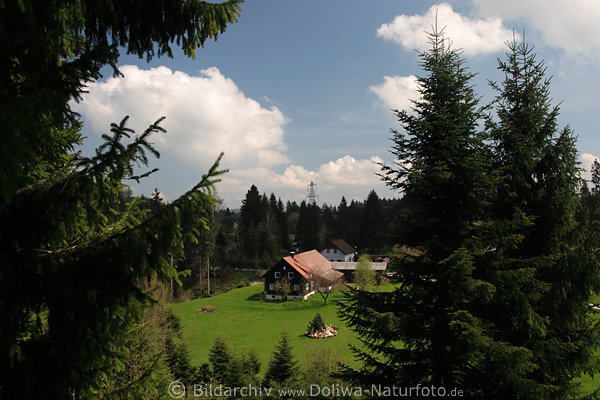 Bregenzerwald Lichtung Wiese mit Waldberghaus
