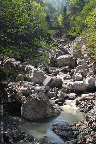 Rappenlochschlucht Wasserbach Naturfoto Felsbrocken in Ebnittal Bregenzerwald