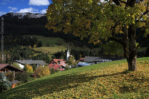 Alpenort Hirschegg Herbstbild Naturidylle Kleinwalsertal Foto Laub um Baum über Kirchl in Sicht