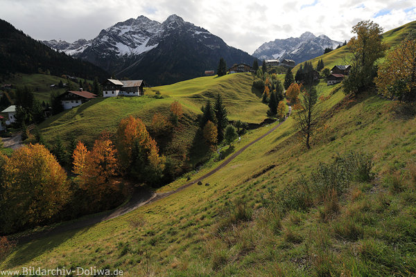 Kleinwalsertal grüne Buckelwiese Berghänge Naturfoto Alpenlandschaft Urlaub Wanderpfad Gipfelblick
