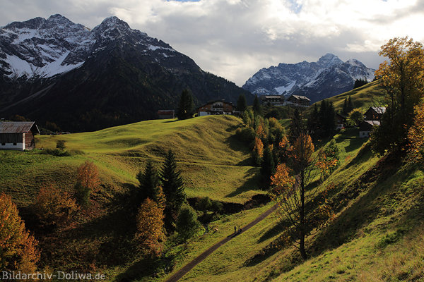 Kleinwalsertal Alpenlandschaft Naturfoto Gipfel buckelige Bergwiesen Lichtstimmung