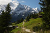 Schneegipfel Grinberg ber Zillertal Grnwiese Almpfade Naturfoto Alpen Wanderurlaub