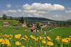 Krumbach Bergdorf in Berglandlandschaft Foto, Frühjahrswiese gelbe Blumen in Frühling Talblick