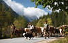 Almabtrieb Kuhabtrieb von Almweiden im Gaistal zum Leutasch in Tiroler Berglandschaft Bild
