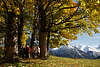 813095_ Oberstdorf Naturbild Romantik Goldenherbst Allee mit Wanderer in Allgäu Landschaft Alpen in Schnee