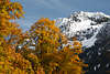 Nebelhorn Schneegipfel Allgäuer Alpen weiss Winter über Goldfarben Natur in Herbst