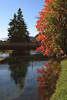 Flussufer Iller Wasserbrücke Herbstfarben Naturfoto Fischen in Allgäu bunte Bäume
