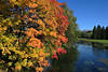 Illerufer Naturfoto Herbstfarben am Wasserfluss Allgäu Bergtal Bäume Alpwiesen Naturbilder