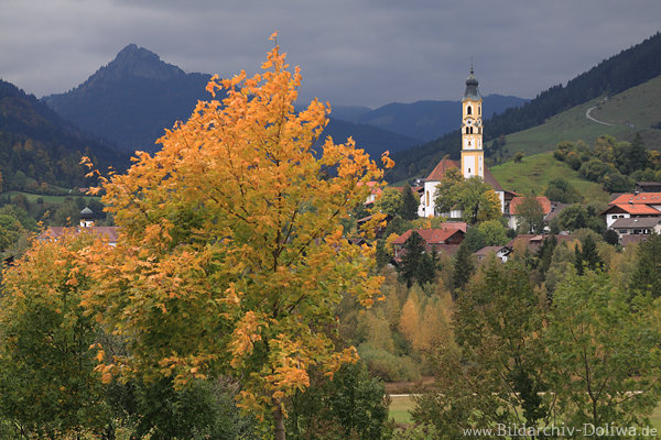 Pfronten Herbstpanorama in Allgu Alpenlandschaft Bergidylle
