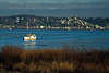 Elbe-Schiff Blankenese Wasser-Blick Hamburg Foto bei Cranz Estemndung