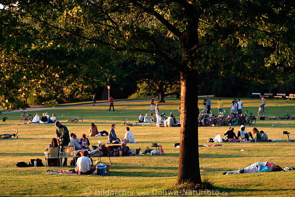 Alsterwiese Picknick in Abendlicht Hamburger grillen klnen im Park