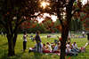 Picknick auf Alsterwiese in Hamburg Park Mdels & Jungs Treffen bei Sonnenuntergang