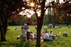 Picknick auf Alsterwiese bei Sonnenuntergang Hamburger Mdels Jungs Freizeittreff Natur am Seeufer