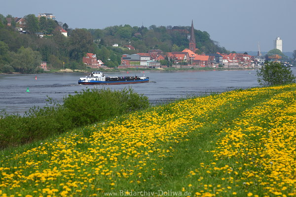 Lauenburg Elbe Deichblte am Wasserfluss mit Schiff