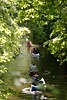 52774_Hamburger Alster-Dschungel Kanuten Bild 5 Kanuboote, Kanuwanderer beim Wasserausflug in grner Allee
